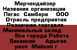 Мерчендайзер › Название организации ­ "Пегас" Самбери-3, ООО › Отрасль предприятия ­ Розничная торговля › Минимальный оклад ­ 23 500 - Все города Работа » Вакансии   . Адыгея респ.,Майкоп г.